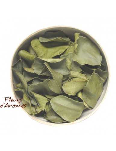 Combava feuilles-citron kaffir